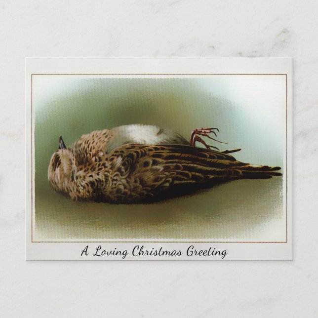 Vintage Victorian Dead Bird Christmas Postcard (Front)