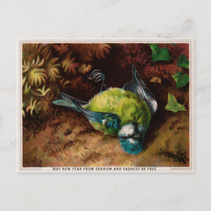 Vintage Victorian Dead Bird Christmas Postcard
