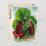 Vintage Victorian Drinking Bugs Postcard<br><div class="desc">Vintage Victorian drinking bugs postcard. High quality,  restored vintage image.</div>
