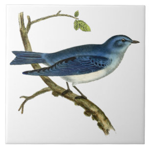 Vintage Victorian Era 1825 Bluebird Art Tile