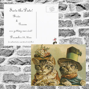 Vintage Victorian Funny Cats in Hats Save the Date Announcement Postcard
