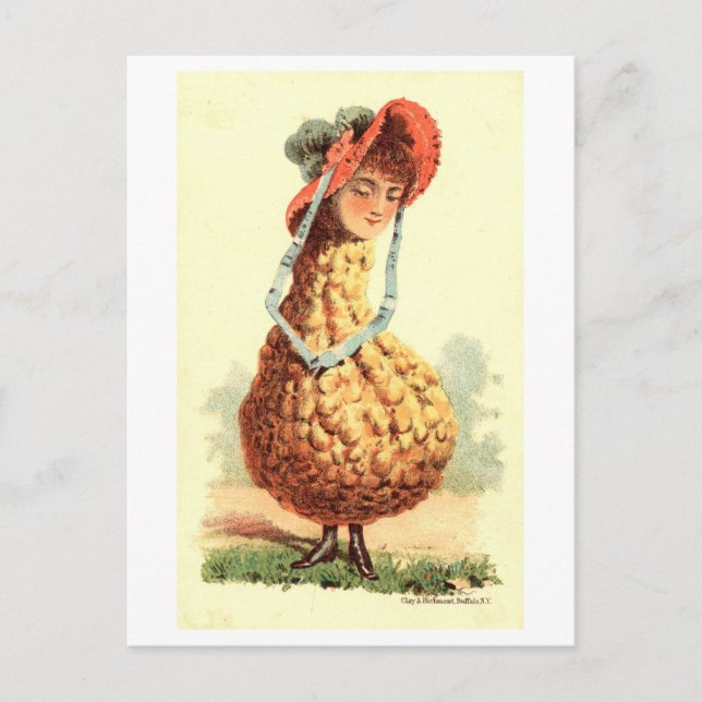 Vintage Victorian Gourd Woman Postcard (Front)