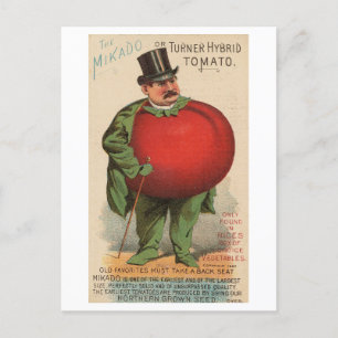 Vintage Victorian Man with Tomato Body Postcard