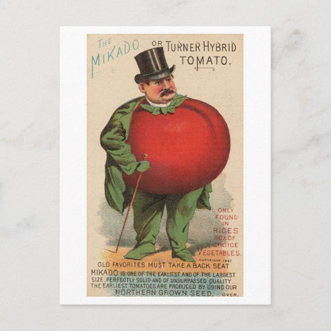Vintage Victorian Man with Tomato Body Postcard (Front)