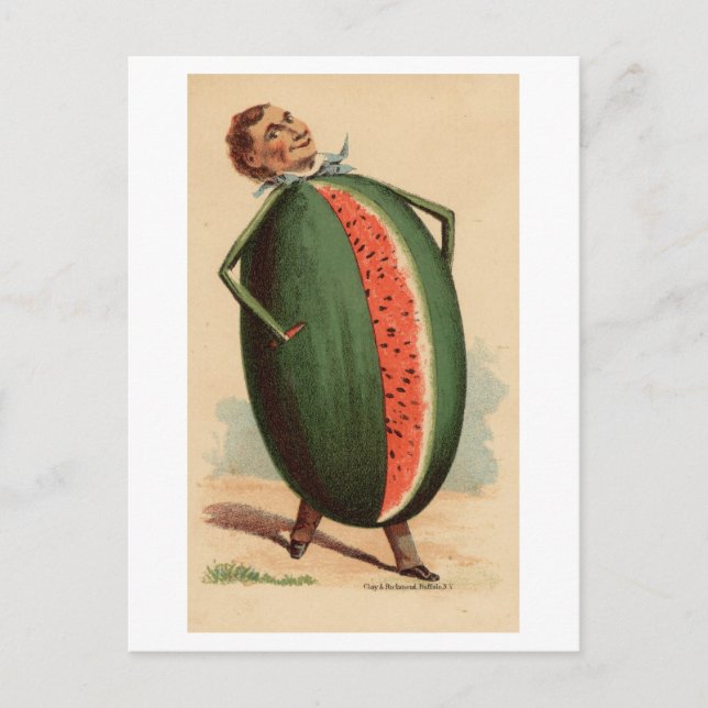 Vintage Victorian Man with Watermelon Body Postcard (Front)