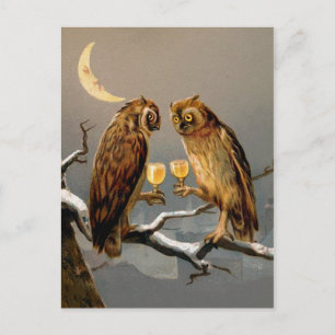 Vintage Victorian Owls Postcard