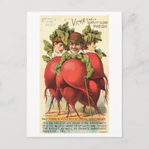 Vintage Victorian People with Radish Bodies Postcard