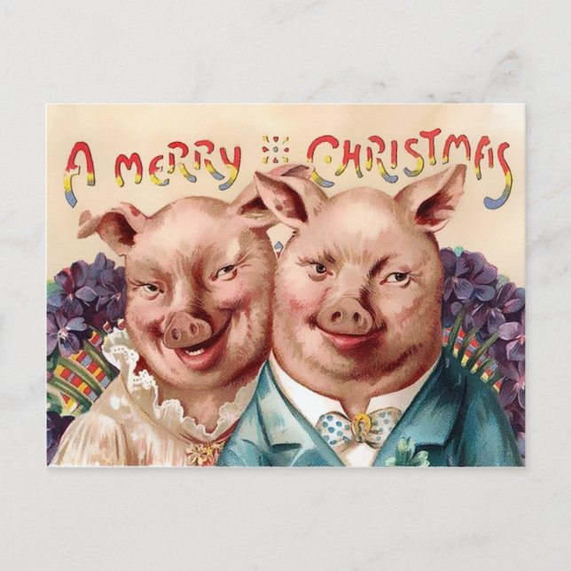 Vintage Victorian Pigs Christmas Postcard (Front)