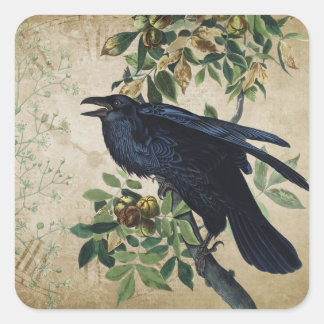 Vintage Victorian Raven Decoupage - Gothic Realm Square Sticker
