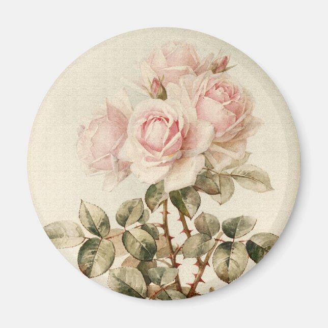 Vintage Victorian Romantic Roses Magnet (Front)