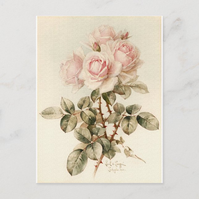 Vintage Victorian Romantic Roses Postcard (Front)