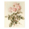 Vintage Victorian Romantic Roses