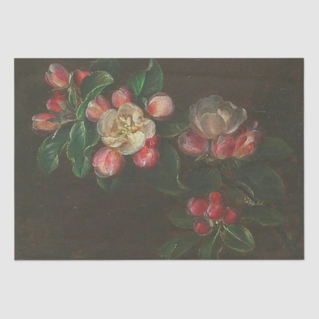Vintage Victorian Roses Flowers Tissue Paper  (Front)