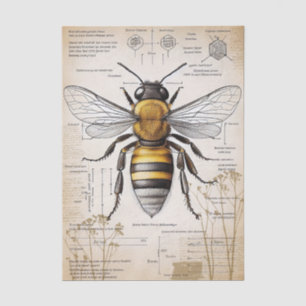Vintage Victorian Style Bee Explanation Tissue Paper