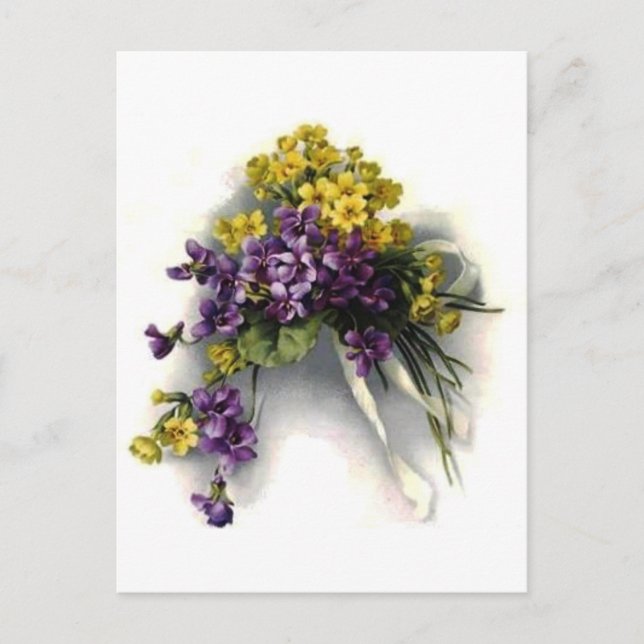 Vintage Violet Bouquet Postcard (Front)