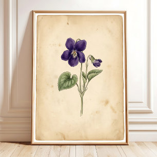 Vintage Violet Wall Art Framed Print
