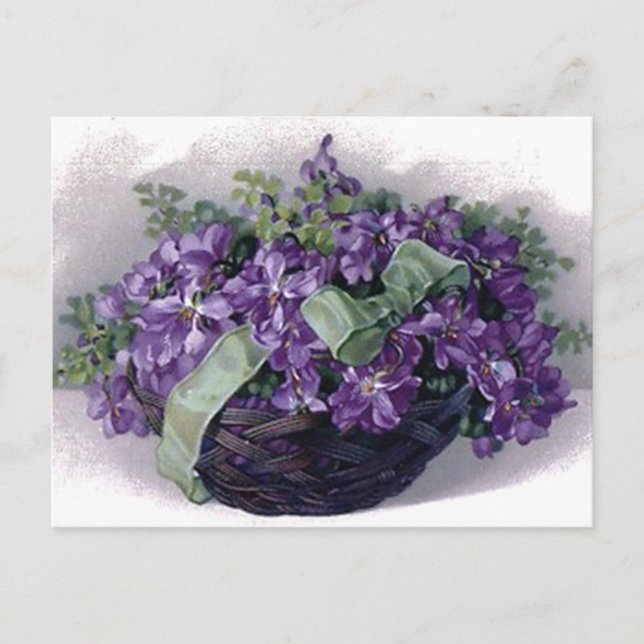 Vintage Violets Basket Postcard (Front)