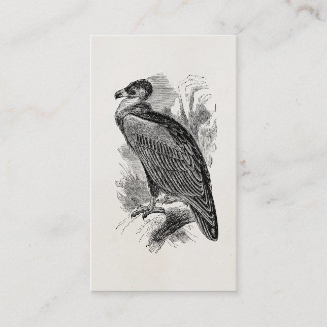 Vintage Vulture Bird Personalised Vultures Birds Business Card (Front)