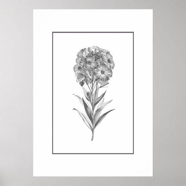 Vintage Wall flower etching print (Front)