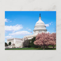 Vintage Washington DC Postcard