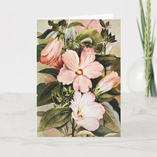Vintage Watercolor Rose mallow Wildflowers Holiday Card