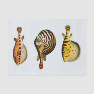 Vintage Watercolour of Fish off white background Tissue Paper