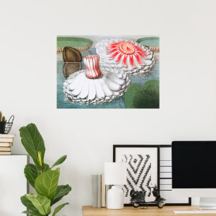 Vintage Waterlilies Flowers in a Pond Poster
