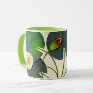 Vintage Waterlily Botanical illustration Mug