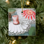 Vintage Waterlily Flowers, Waterlilies in a Pond Ceramic Ornament<br><div class="desc">Vintage illustration botanical nature design featuring pink and white waterlily flowers floating in a pond.</div>