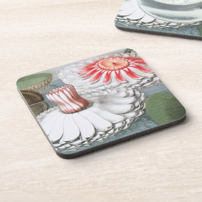 Vintage Waterlily Flowers, Waterlilies in a Pond Coaster (Left Side)