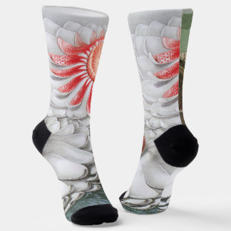 Vintage Waterlily Flowers, Waterlilies in a Pond Socks