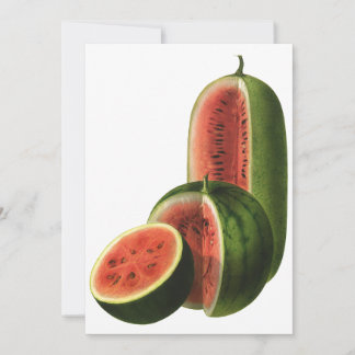 Vintage Watermelons Tall Round, Organic Food Fruit
