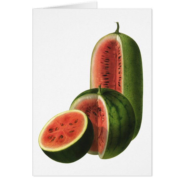 Vintage Watermelons Tall Round, Organic Food Fruit (Front)