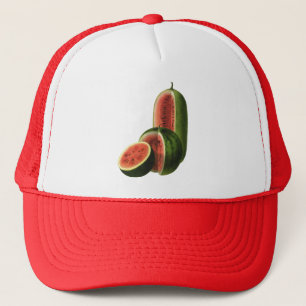 Vintage Watermelons Tall Round, Organic Food Fruit Trucker Hat