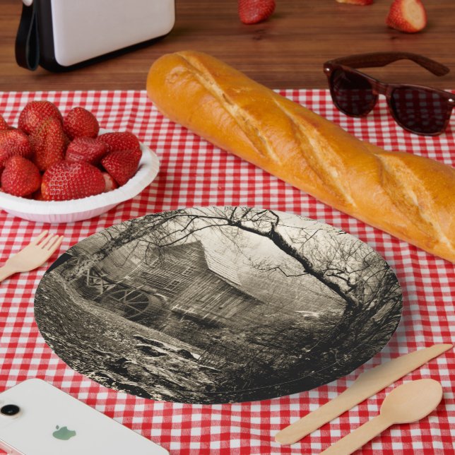 Vintage Waterwheel Paper Plate (Picnic)