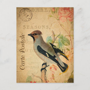 Vintage Waxwing Bird Floral French Carte Postale Postcard