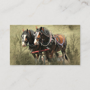 Vintage Weathered Clydesdale Postcard