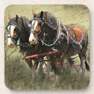 Vintage Weathered Clydesdale Postcard Coaster