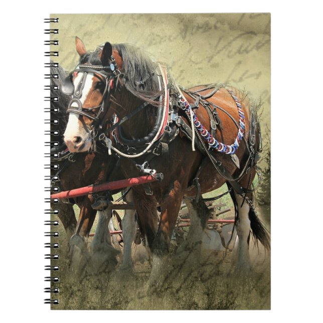 Vintage Weathered Clydesdale Postcard Notebook (Front)