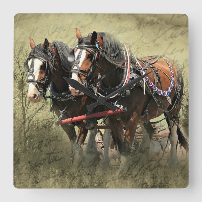 Vintage Weathered Clydesdale Postcard Square Wall Clock (Front)