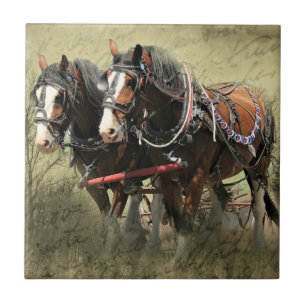 Vintage Weathered Clydesdale Postcard Tile