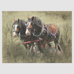 Vintage Weathered Clydesdale Postcard Tissue Paper