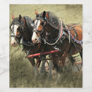 Vintage Weathered Clydesdale Postcard Wine Label
