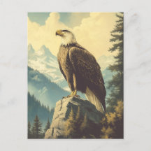 Vintage Weisshead Eagle Alaska Postcard