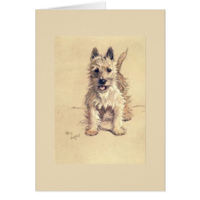 Vintage - West Highland White Terrier, (Front)