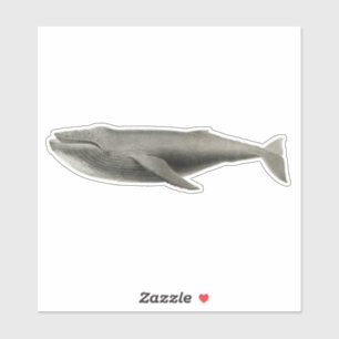 VINTAGE WHALE TRANSPARENT STICKER