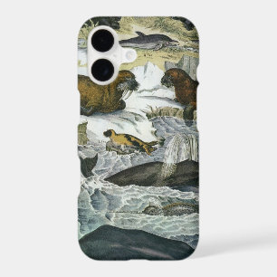 Vintage Whales, Seals and Walruses, Marine Animals