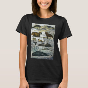 Vintage Whales, Seals and Walruses, Marine Animals T-Shirt