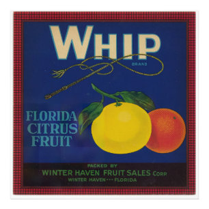 Vintage Whip Citrus Fruit Label  Photo Print