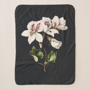 Vintage White and pink Flowers on black Sherpa Blanket
